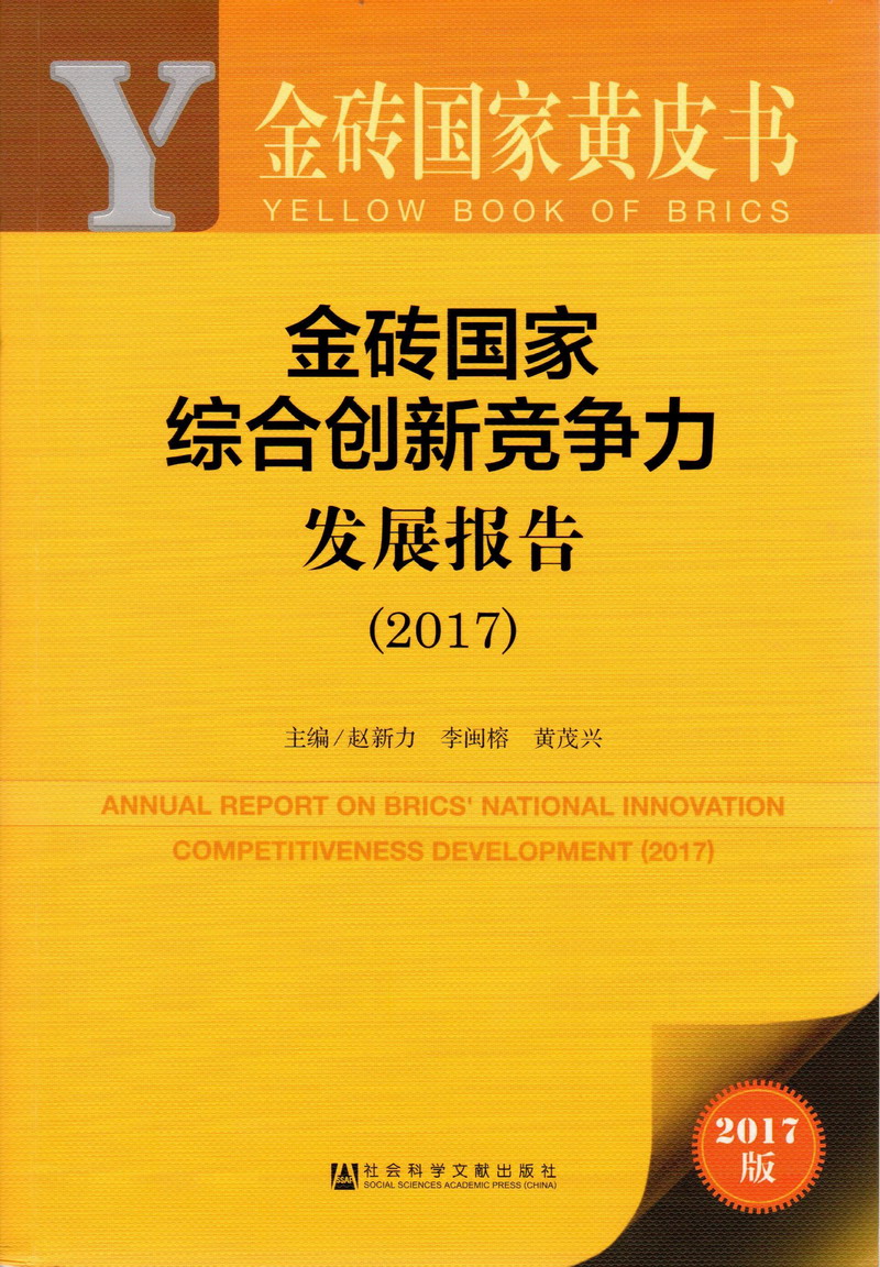 操屄视频在线观看中国的女人被操的叫喊爽死了金砖国家综合创新竞争力发展报告（2017）